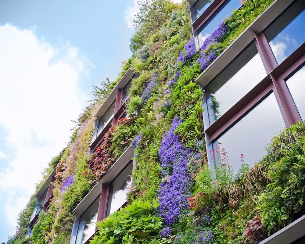 Begrünte Hausfassade, Symbol für nachhaltiges Bauen nach GEG